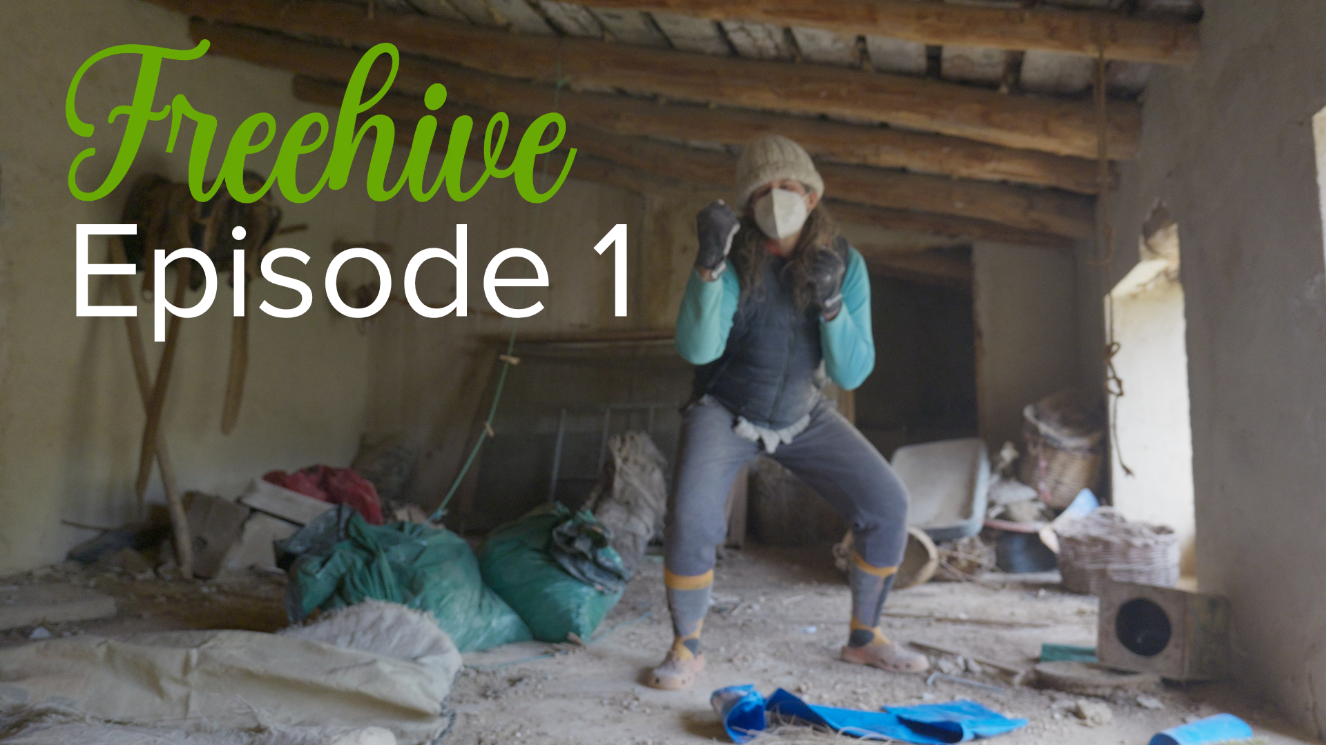 #1 CLEANING THE HOUSE