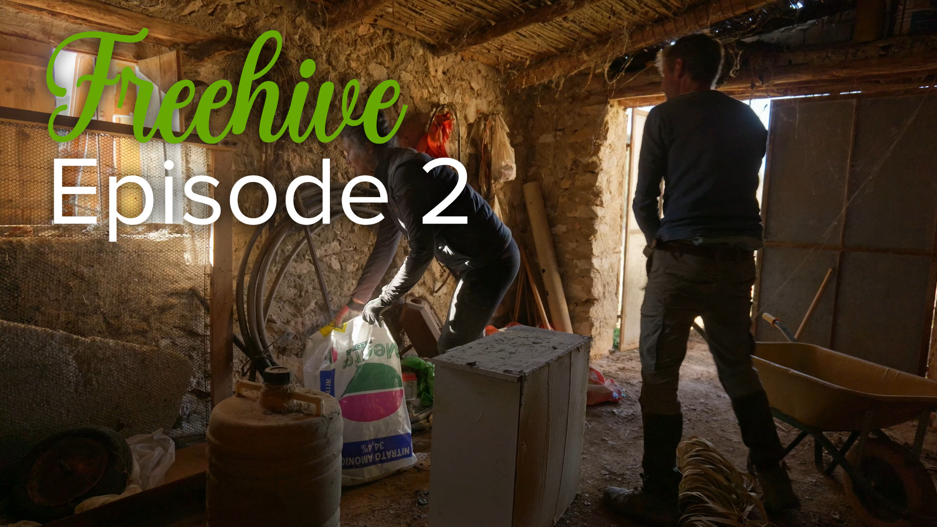 #2 CLEANING THE GARAGE