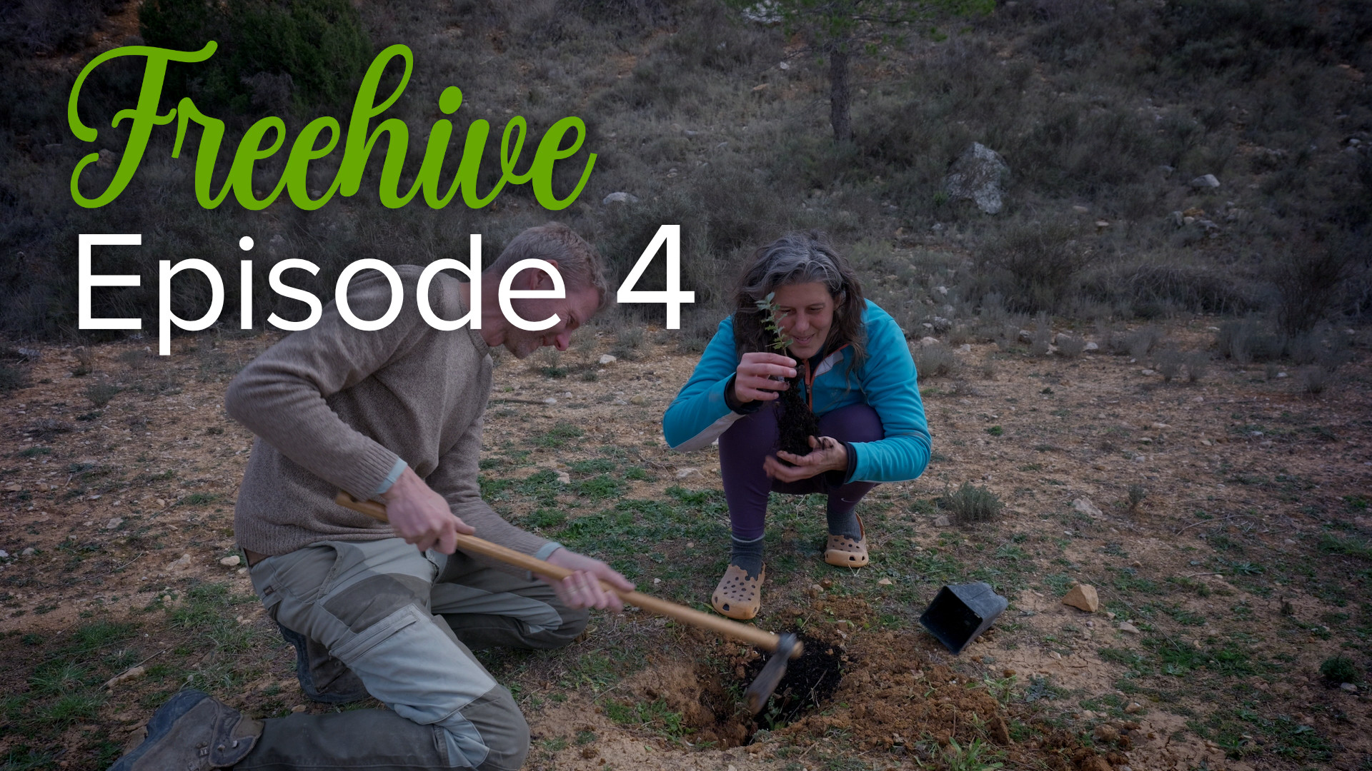 #4 EXPLORING THE LAND