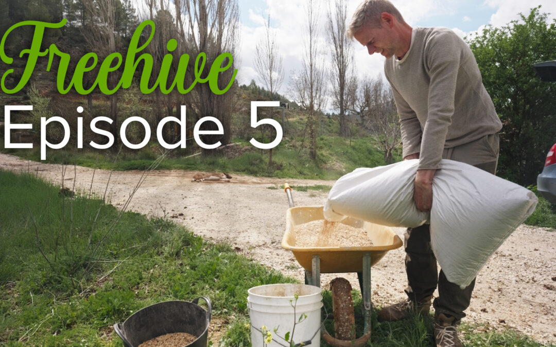 #5 SOWING GREEN MANURE