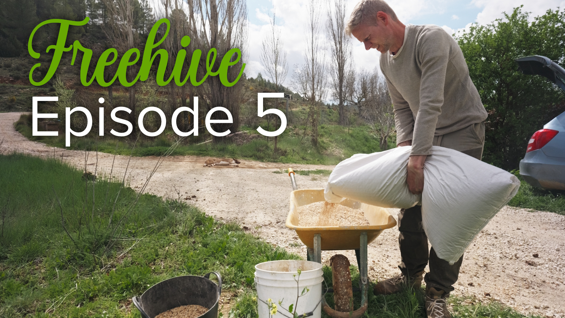 #5 SOWING GREEN MANURE