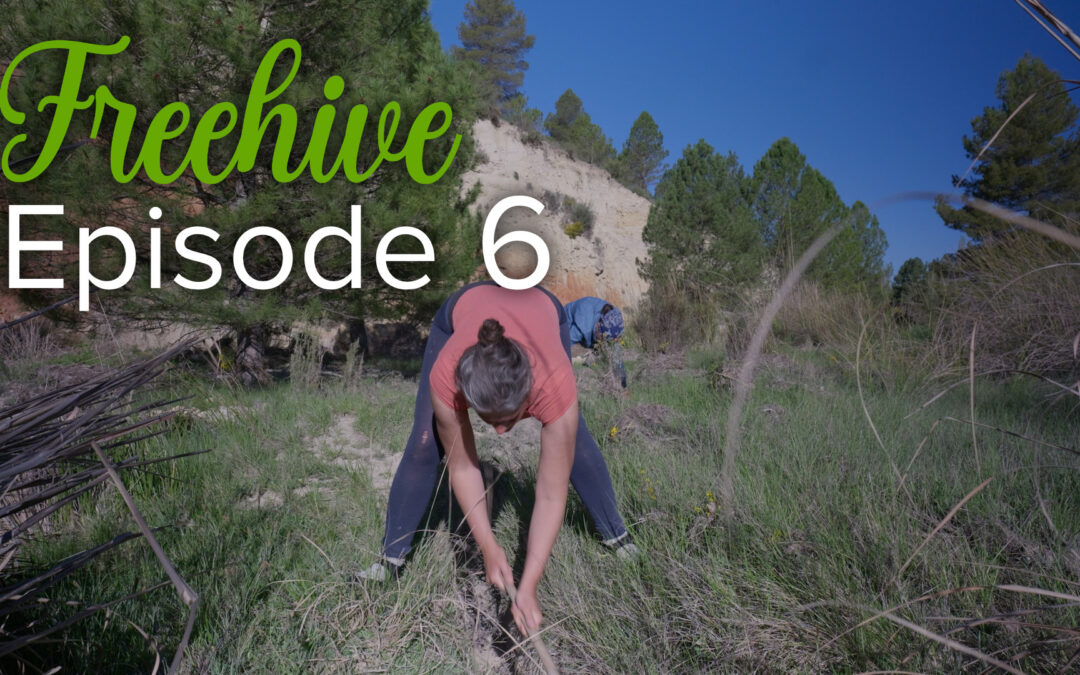 #6 OH NO, ACUTE LUMBAGO!