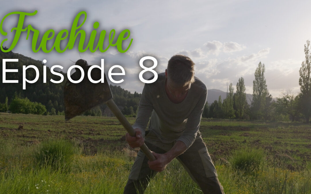 #8 WATER ON THE LAND!