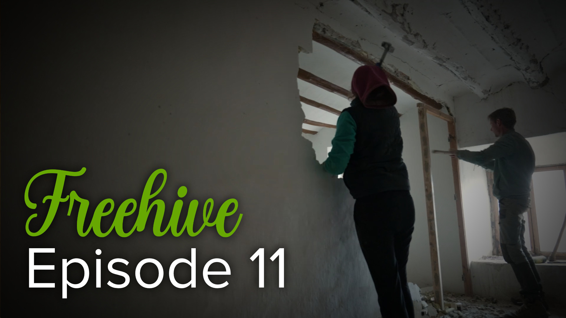 #11 STARTING THE RENOVATION